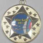 Elite Gold award